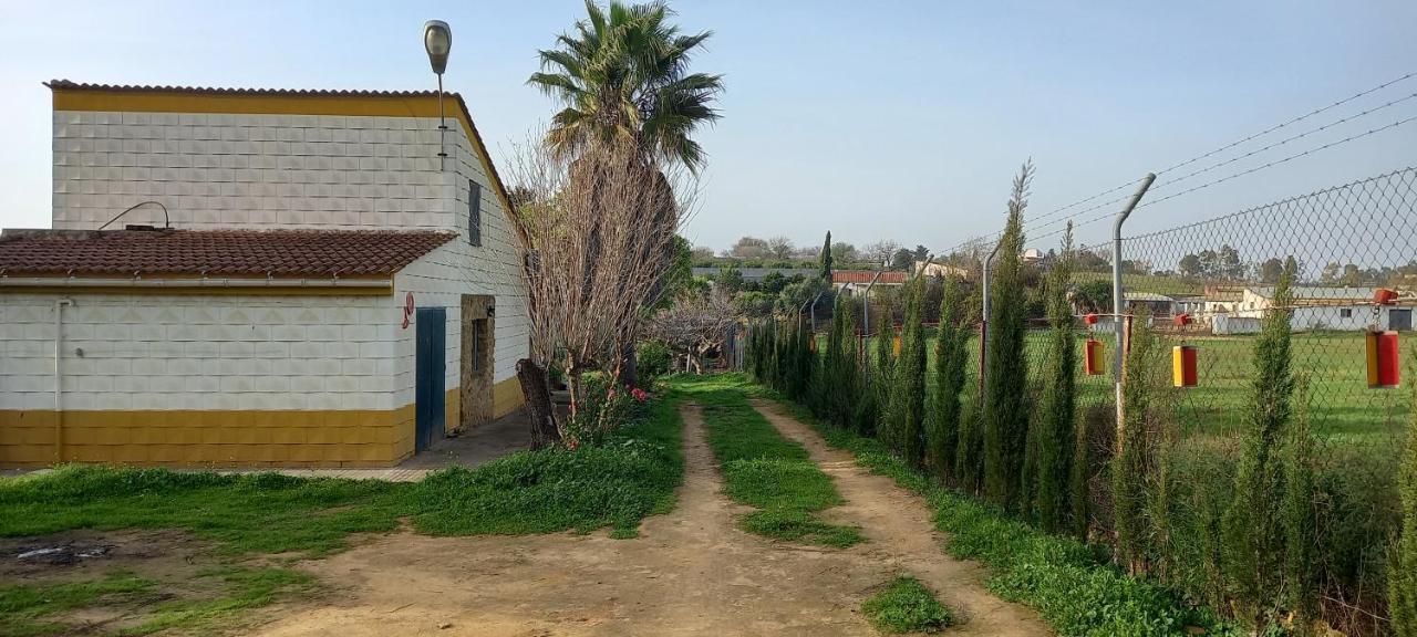 Huerta El Genoves Carmona (Seville) Exterior foto
